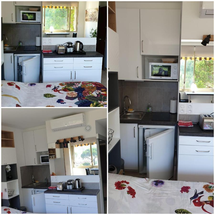 Garden And Beach Sea View Apartment Cannes 망들리유 라 나플 외부 사진