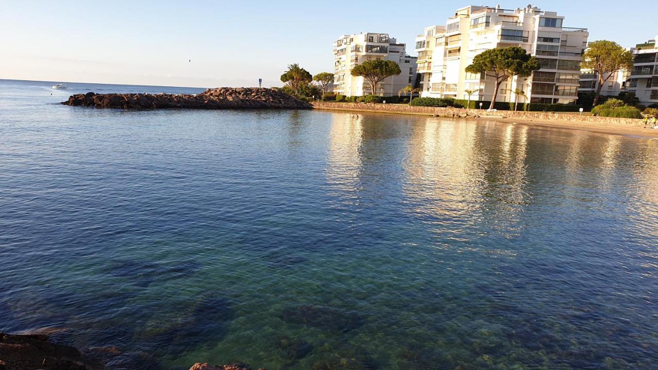Garden And Beach Sea View Apartment Cannes 망들리유 라 나플 외부 사진