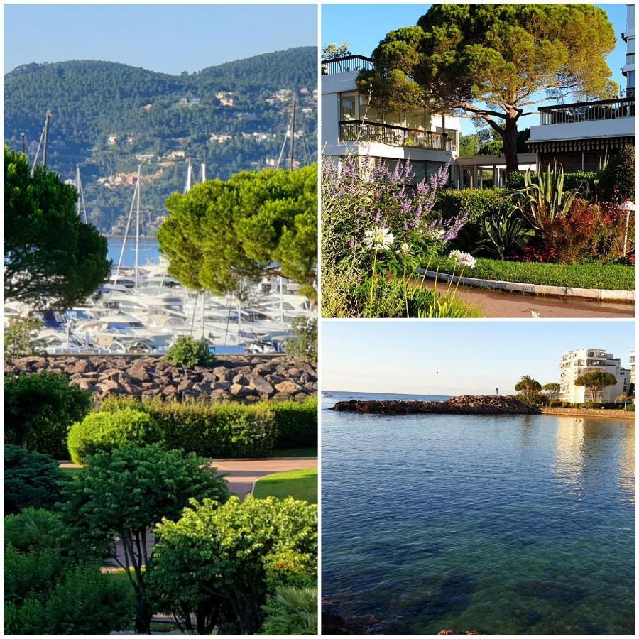 Garden And Beach Sea View Apartment Cannes 망들리유 라 나플 외부 사진